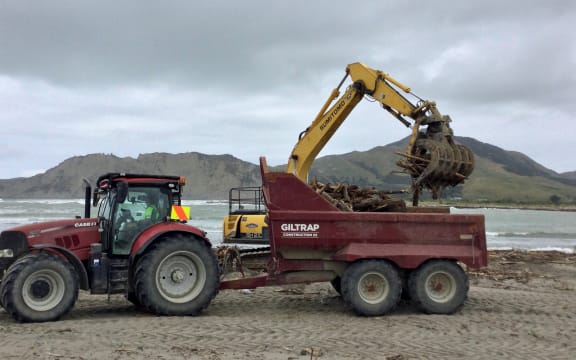 Tolaga Bay based operator Cranswick enterprises engage in the removal of woody debris from Tolaga Bay 
beach
