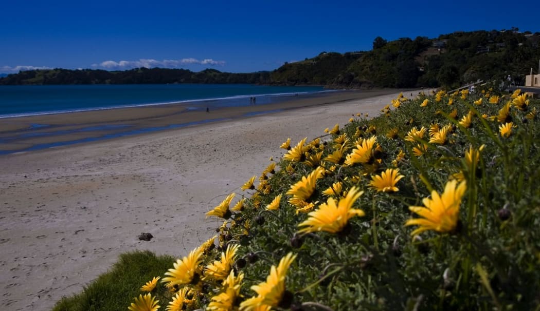Onetangi Beach, Waiheke Island