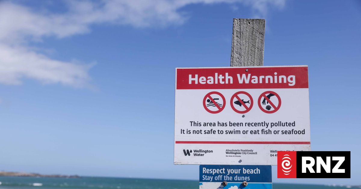 Sewage discharging into Wellington coastal waters, again