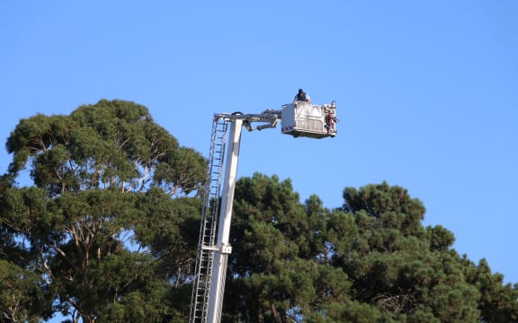Police presence at the national remembrance service in Christchurch