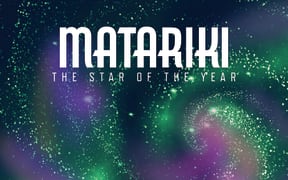 Matariki - the star of the year.