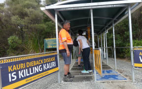 DOC cleaning station at a track entrance in Waipoua Forest.