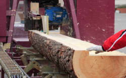 Sawing boards from logs with circular sawmill.