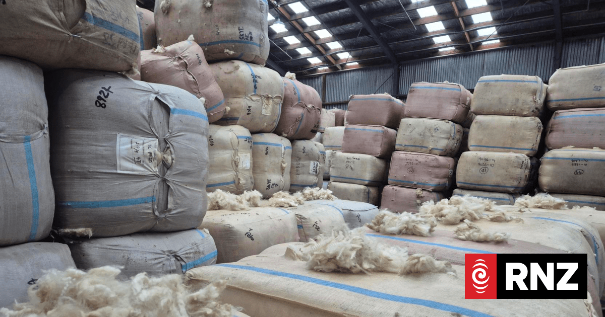 North Island wool fetches highest price in three decades at Napier auction