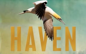 cover image of the book "Haven" by Emma Donoghue
