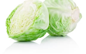 A cabbage supplier is being blamed for the presence of Listeria in specific batches of Muscle Fuel dinners.