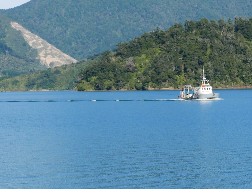 'Pelorus', a vessel owned by Nelson's Diving Services, provides transport for the NIwa scientists looking to sample sediment.