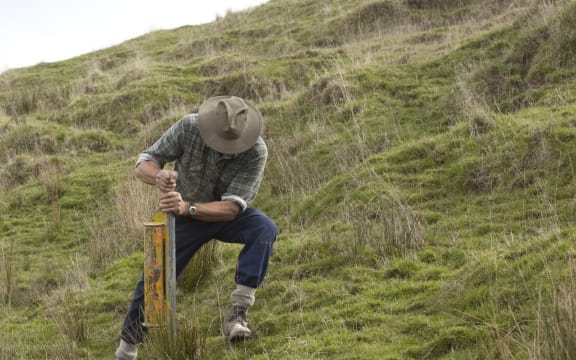 Planting willow and poplar poles helps stabilise sloping land.