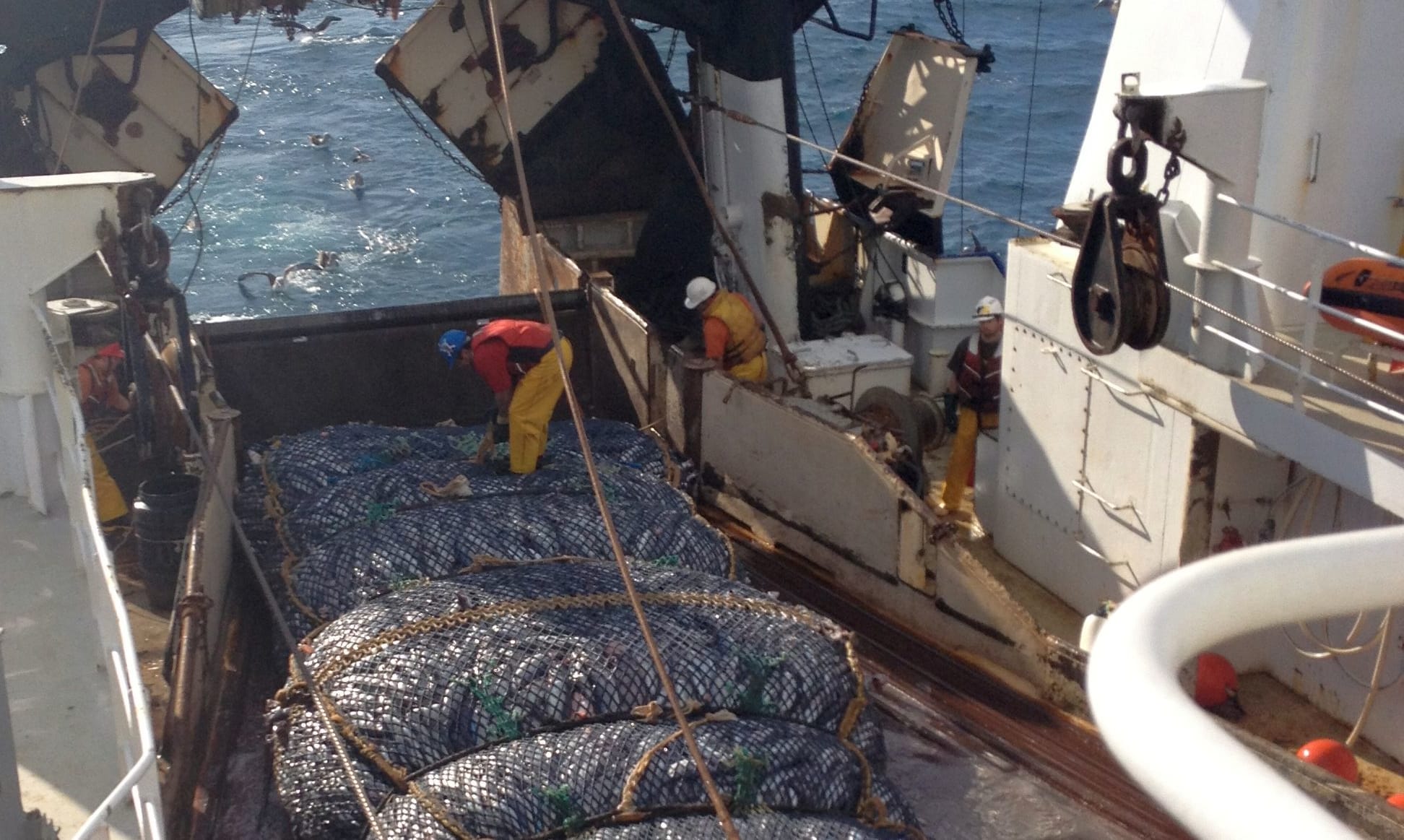A Sealord fishing boat at sea.