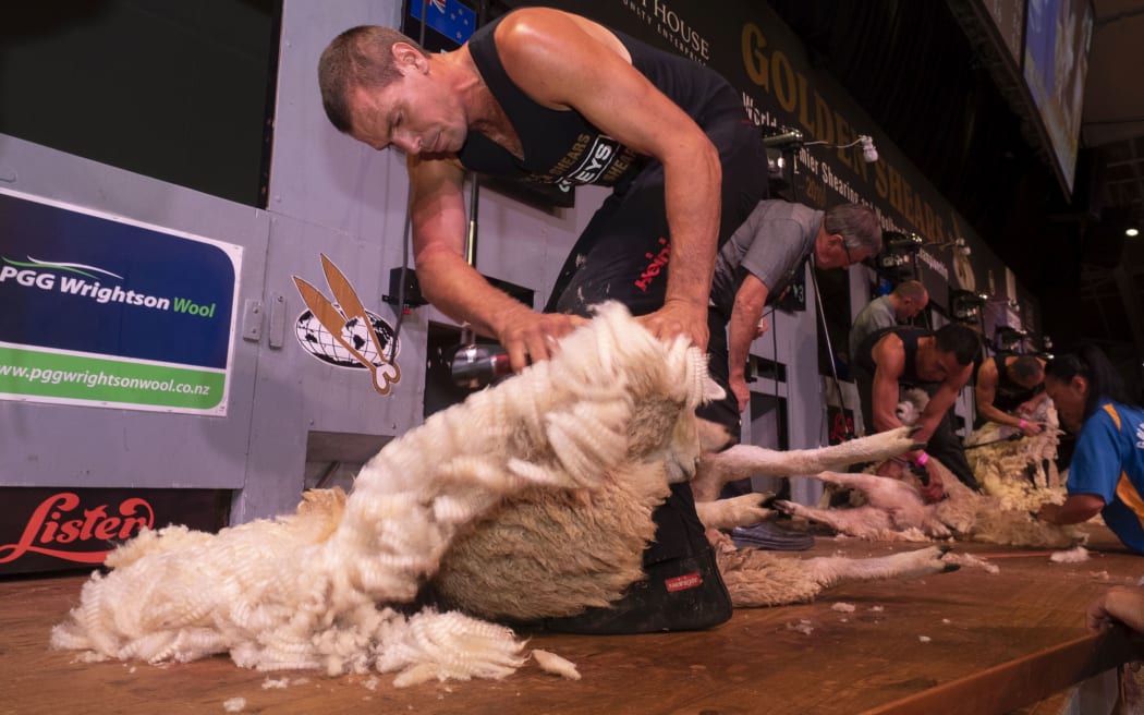 Golden Shears international champs back after two years of cancellations RNZ News