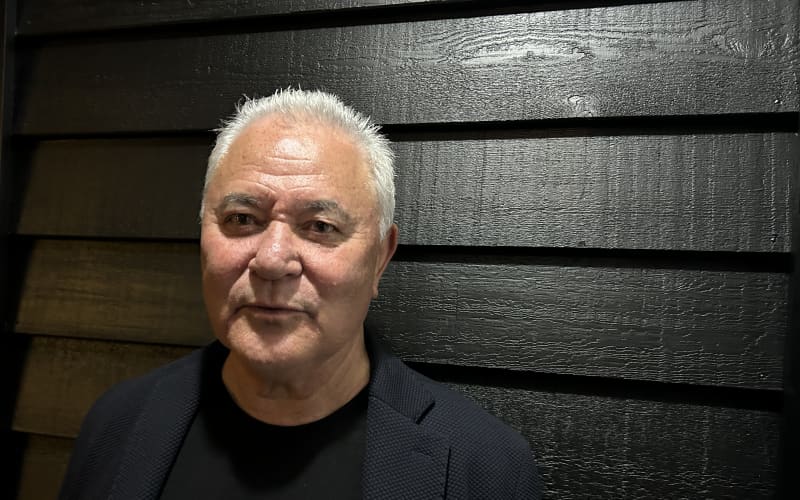 Te Pāti Māori President John Tamihere.