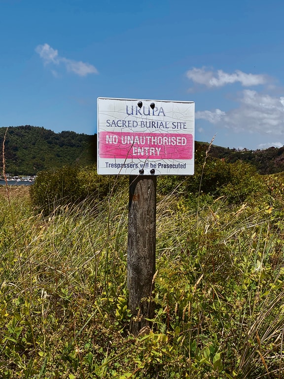 The ancient Opihi Whanaungakore urupa is still used today.