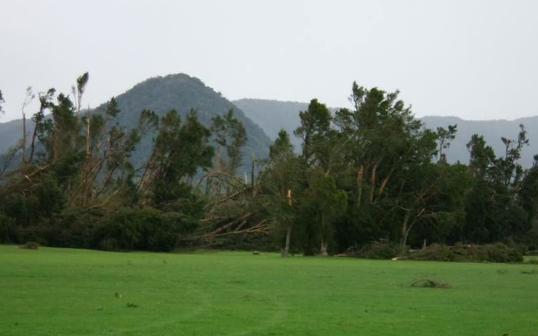 Trees at Whataora Golf Course felled by the wind.