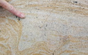 Moa footprint