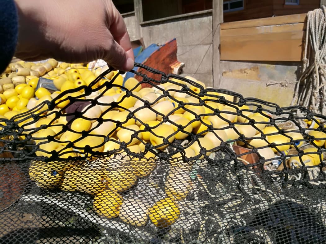 Small changes to purse seine nets, such as the size of some of the mesh, has resulted in a dramatic decline in the number of small seabirds accidentally killed in Chilean waters.