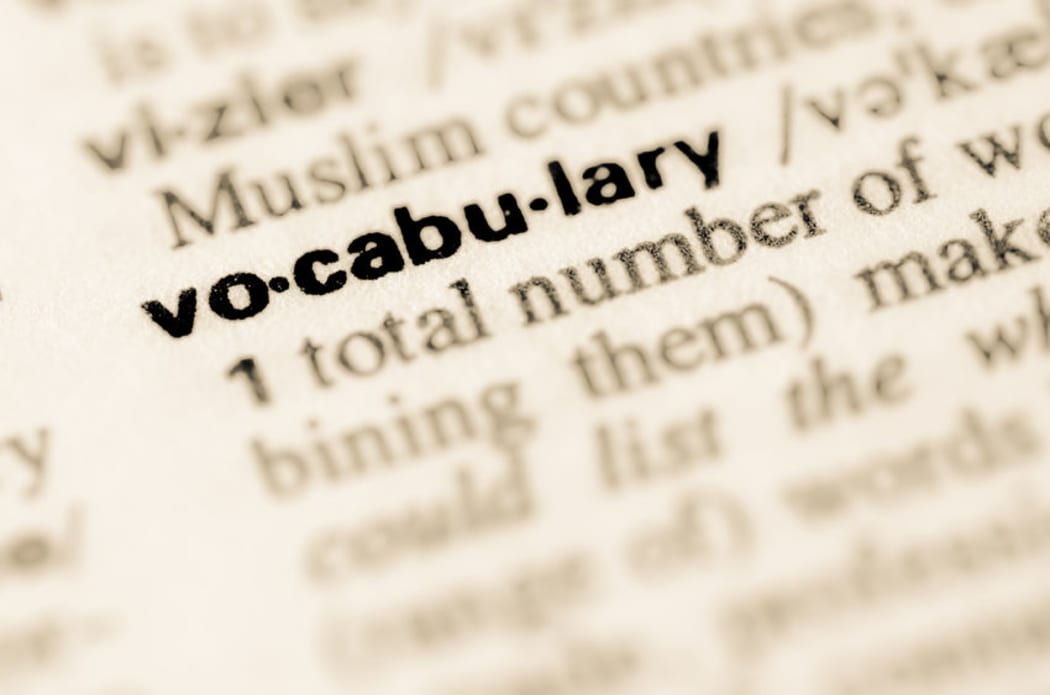 Dictionary page saying vocabulary