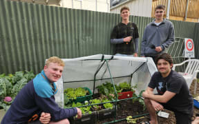 From left : Jake Corney, Cam Pooley, Angus Henry and Kieran Halforty.