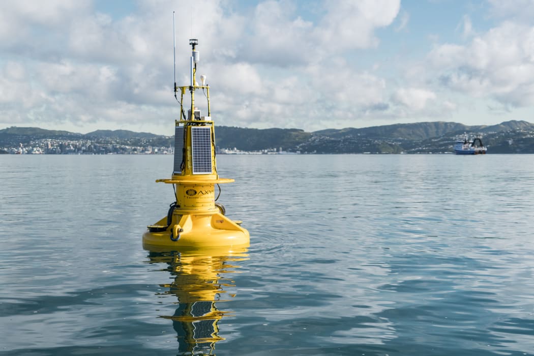 NIWA's WRIBO harbour buoy transmits real time information about sea conditions such as temperature, salinity and wave heights.