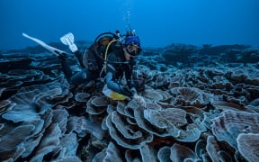 A coral reef site in pristine condition has been opened to the eyes of the world in French Polynesia
