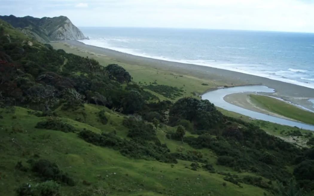 Te Kautuku beef station on the far East Coast, Tairāwhiti, is being used as a test case for a native habitat regeneration project by startup Toha Network, allowing supporters to purchase Mahi Tokens to fund the environmental work.