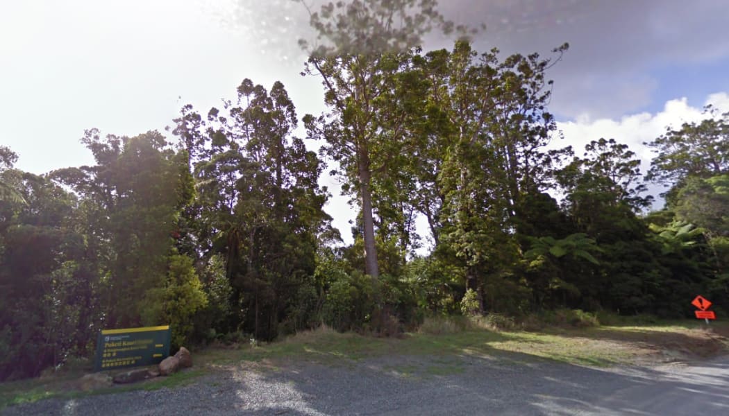 Puketi Kauri Forest signage.