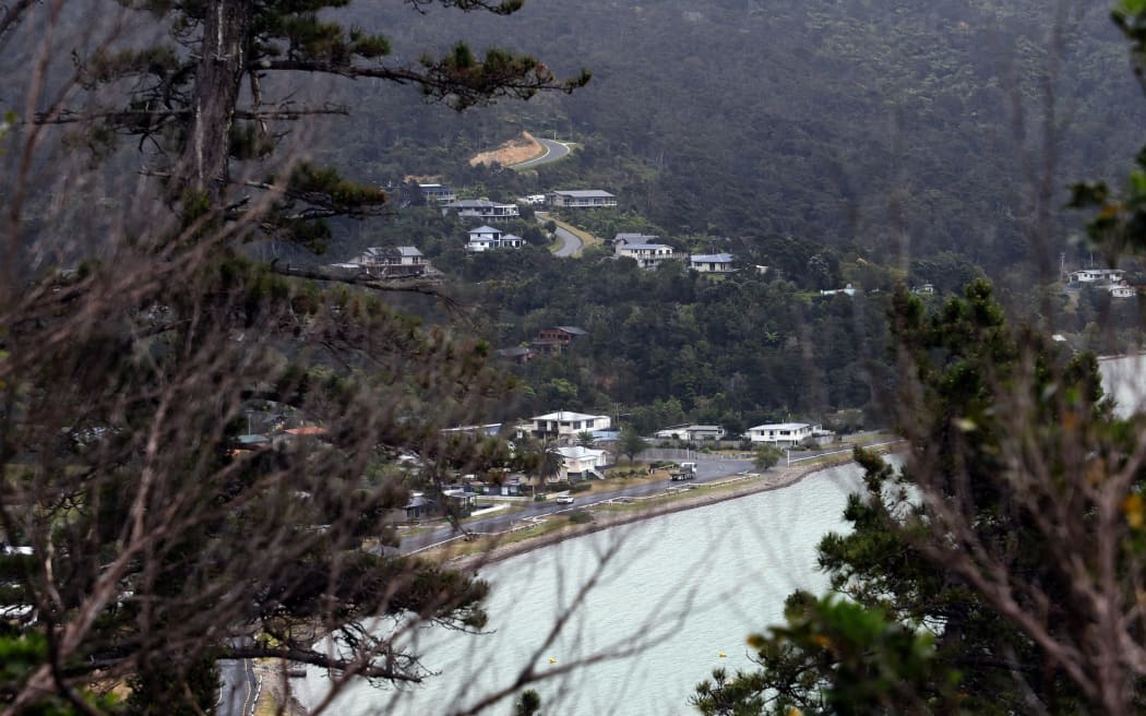 Looking through trees out to Ōkiwi Bay, a small settlement in the Marlborough Sounds, on the way to French Pass.