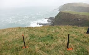 Police placed markers above Blue Cod Bay where tyre tracks came to an end. The cove, near Curio Bay, is at the centre of the search for Michael Zhao-Beckenridge, 11, and his stepfather John Beckenridge.