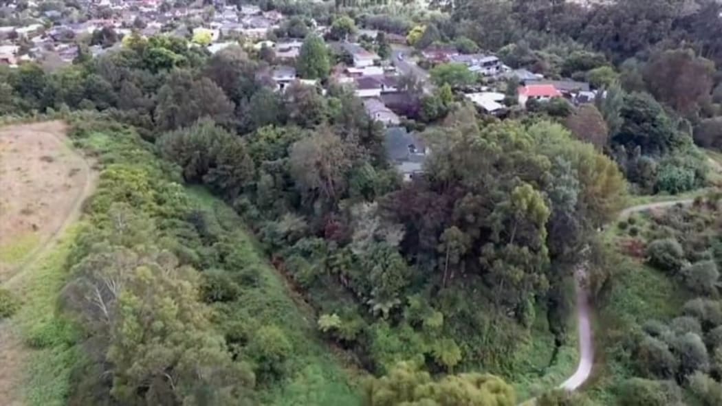 Kukutāruhe gully