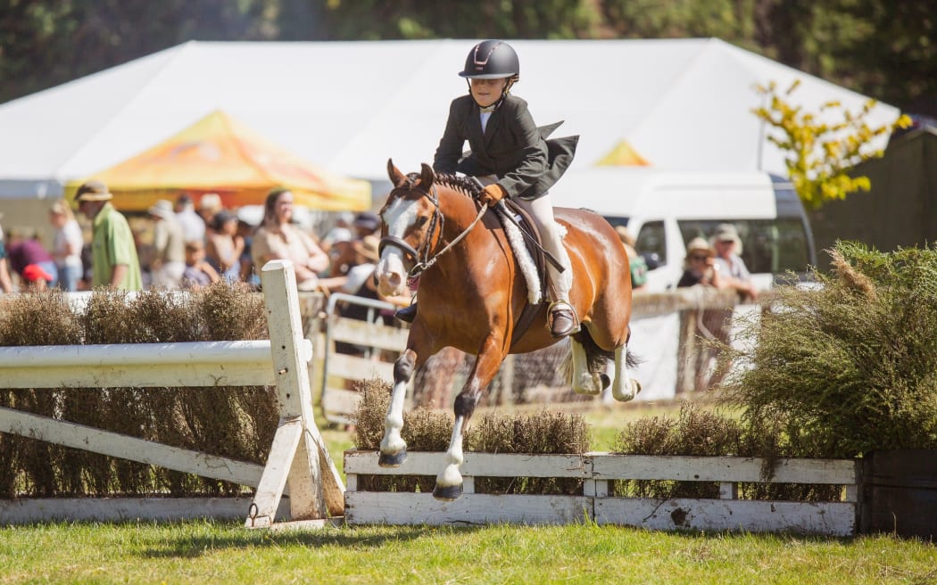 A young rider concentrates on the task at hand while soaring over the fence at the Waimarino A & P Show  in February 2024.