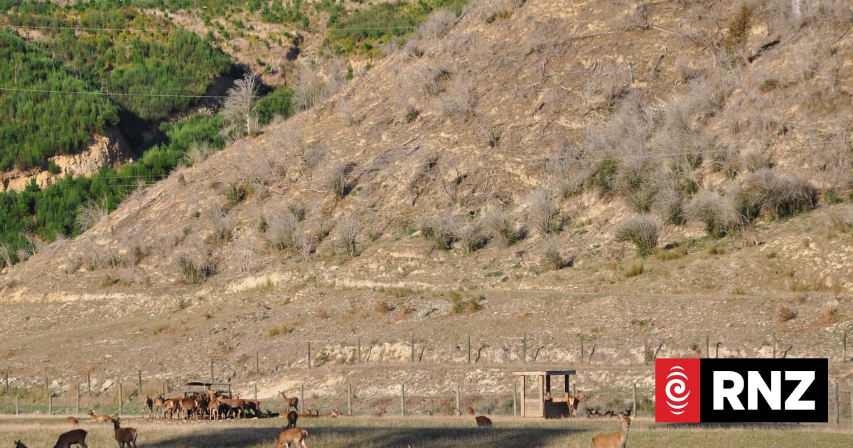 El Niño expected to be 'strongest in recent history'