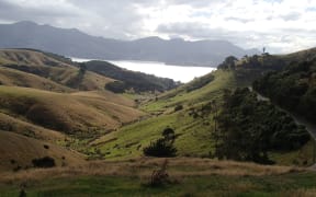 View across Hereweka Farm towards Otago Harbour. Once covered in forest, Otago Peninsula is now mostly farmland.