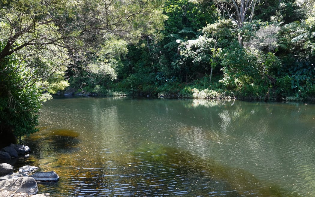 Long-time Kerikeri resident Anne Trussler describes Fairy Pools as “a serene and beautiful place”.