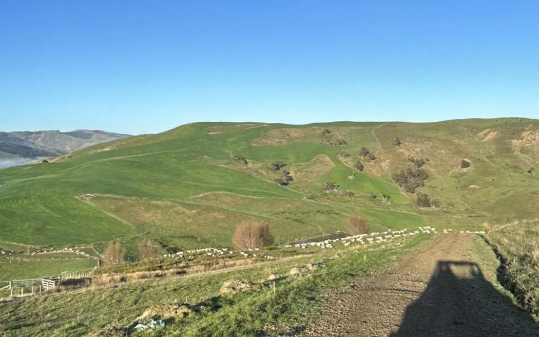 Walmsley Canning Estate in Porangahau