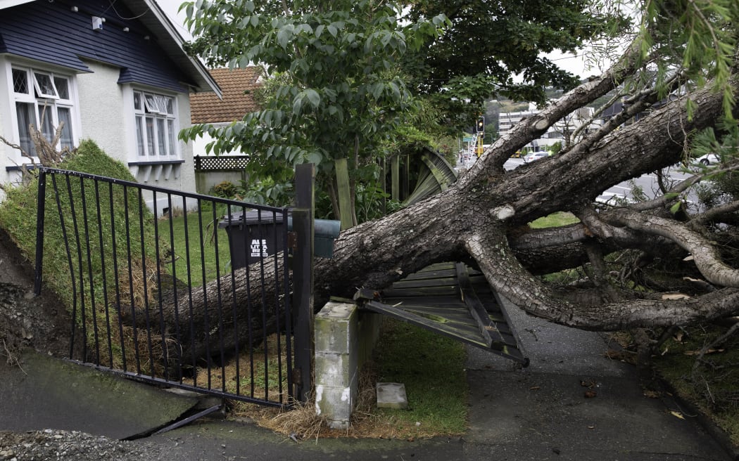 A severe thunderstorm brought down trees on a property at Kings Crescent, Lower Hutt, on 12 December, 2023.