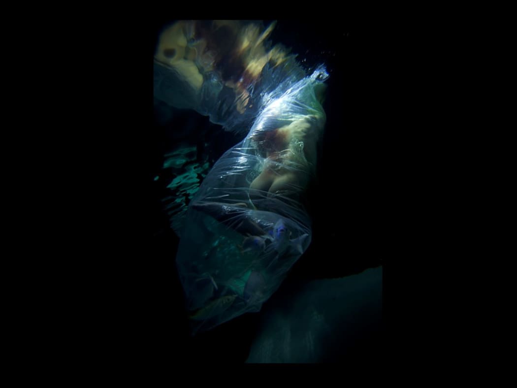 de Castro-Robinson - a zigzagged gaze Image 6: Vincent Ward: Return