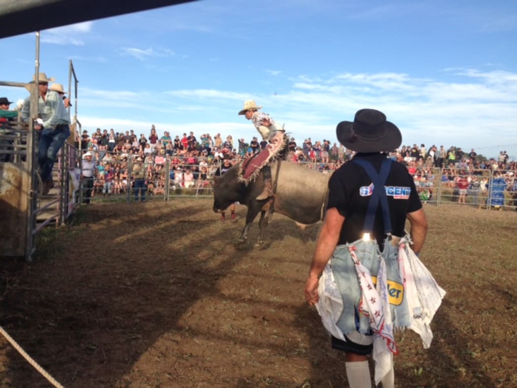 A cowboy in action at Martinborough's Pukemanu Bull Ride.
