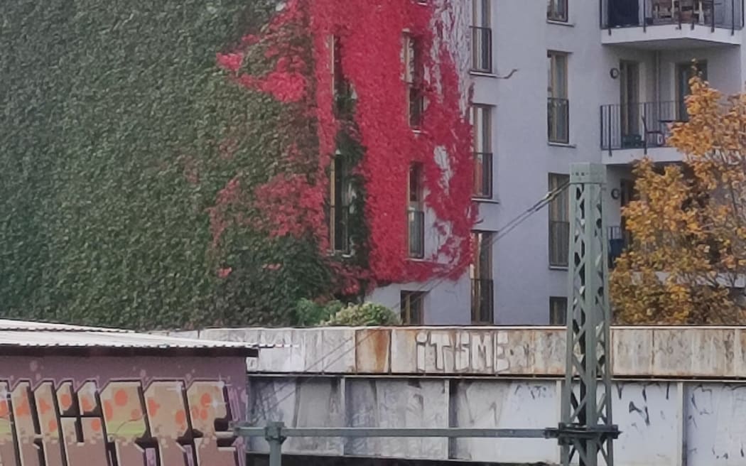 Berlin's Autumn leaves