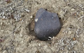 Aotearoa's 10th meteorite has been discovered on Crown land in the South Island's Mackenzie Country by a group of eagle-eyed citizen scientists.