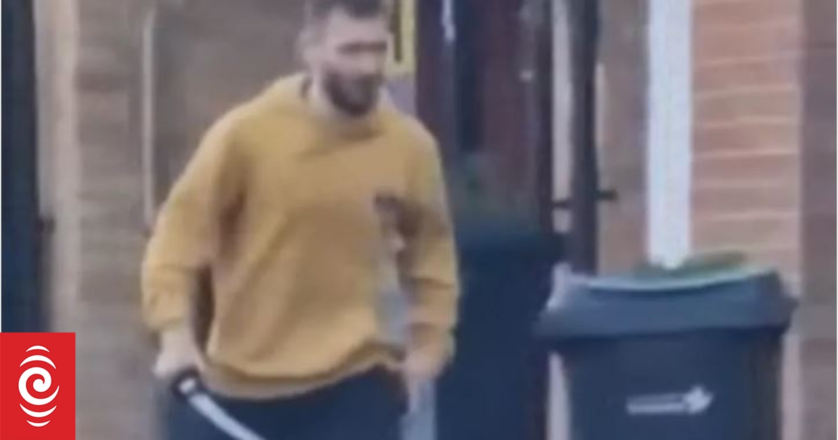 'Chaos': Hainault attack witnesses describe attack horror - Vimarsana News