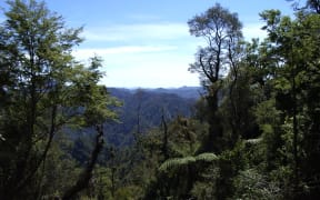 TE UREWERA