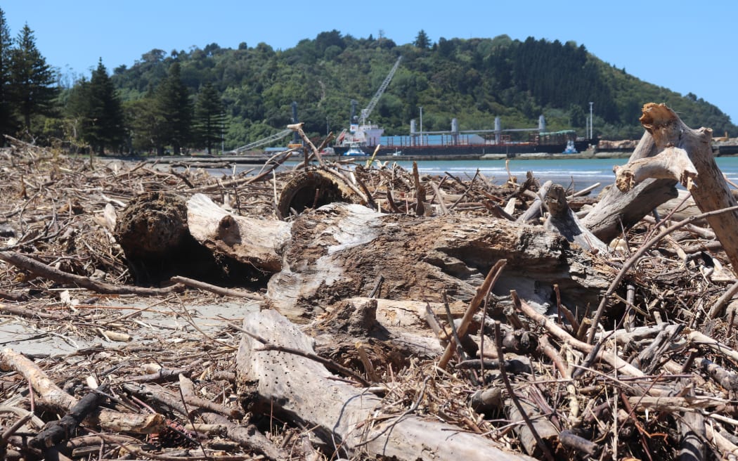 Wood strewn across the beachline looking out across Waikanae Beach towards Eastland Port.
