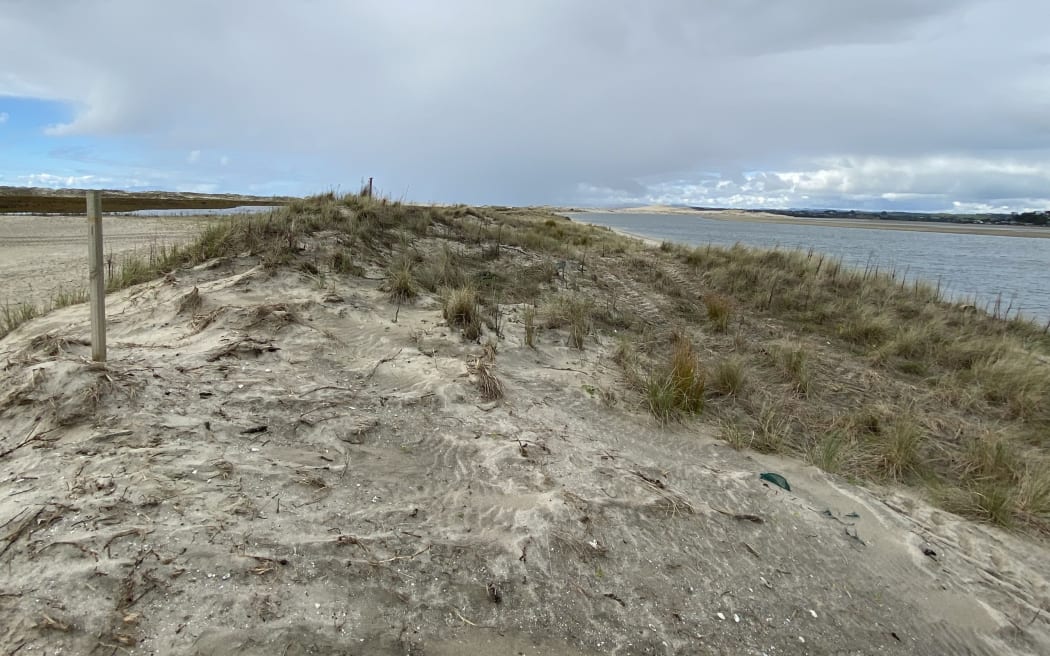 Mangawhai Sandspit’s manmade but looking quite natural protective 800 m long bund wall on the sandspit’s western harbour shores.