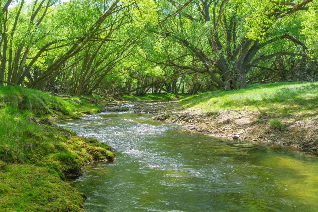 Stream flowing through farmland, New Zealand.