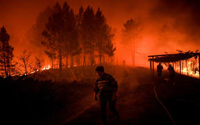 A villager walks past a wildfire encroaching on her home in Amendoa in Macao, central Portugal on 21 July, 2019.