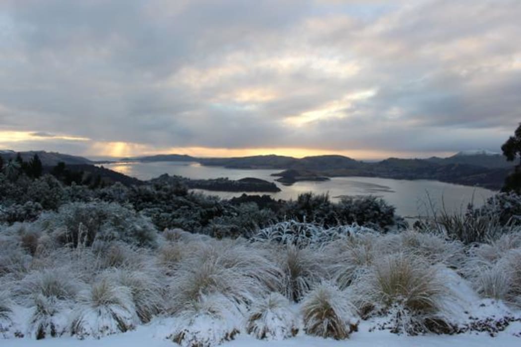 Snow in Dunedin