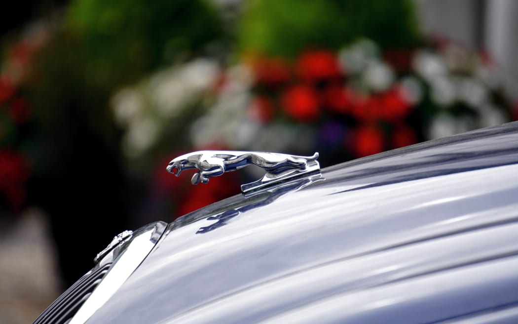 A close up of the Jaguar statue on the eponymous cars bonnet.