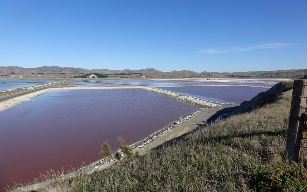 Salt ponds, near Seddon.