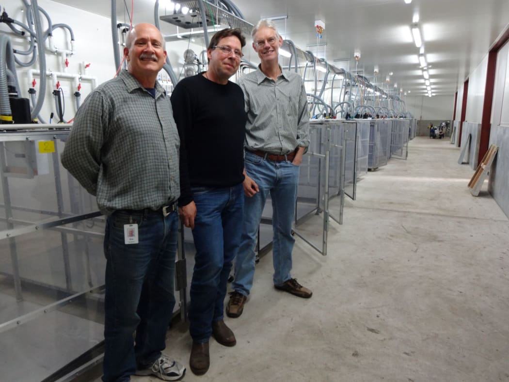 The AgResearch team behind the discovery of methanogen inhibitors (from left to right): Ron Ronimus, Stefan Muetzel and Peter Janssen. In the background are several respiration chambers the team uses to monitor methane emissions from sheep.