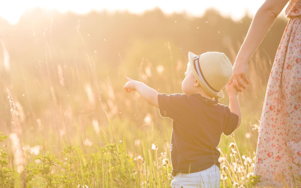 Back view on a cute little toddler boy in a straw hat holding his mother's hand and pointing into distance. Adorable child walking with his mom in the park on a sunny summer day. Family on sunset