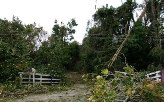 Most roads have been cleared of fallen trees.